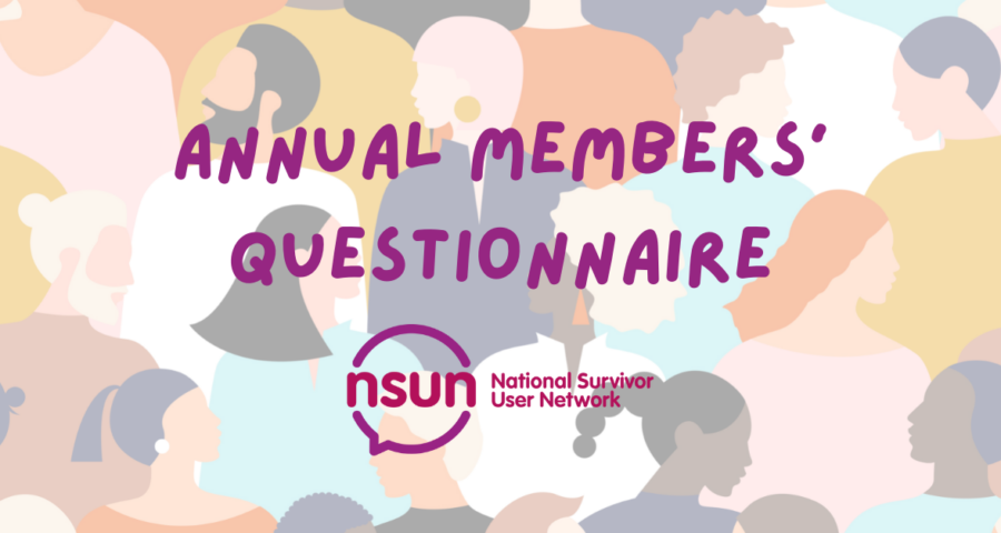 the words "annual members' questionnare" in purple and the NSUN logo (pink and purple) over a background of a group of colourful cartoon people