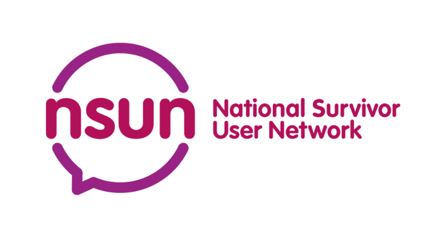 nsun logo