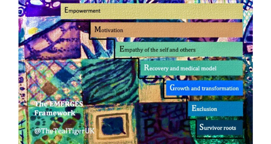 colourful background with the following words stacked in colourful boxes: empowerment, motivation, empathy for the self and others, recovery and medical model, growth and transformation, exclusion, and survivor roots with the twitter handle @ the teal tiger UK.