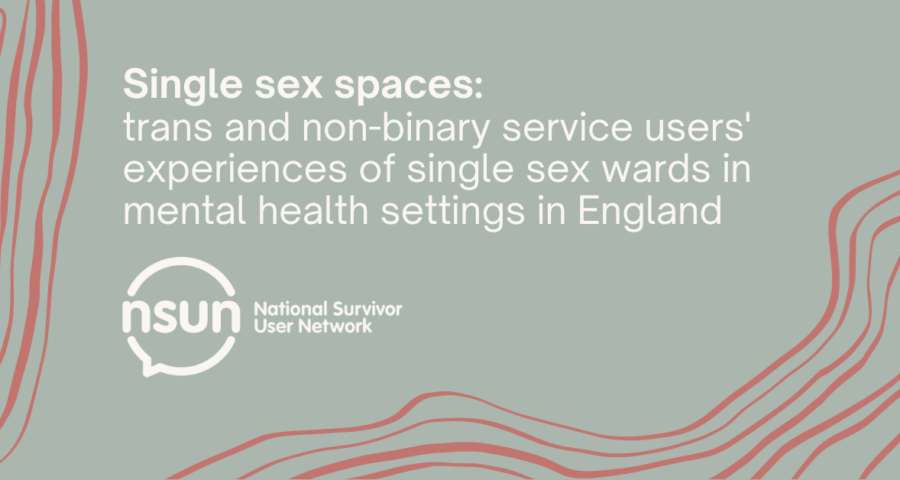White text on a sage green background with red abstract line illustrations around the edges. Text reads "Single sex spaces: trans and non-binary service users' experiences of single sex spaces in mental health settings in England, National Survivor User Network"
