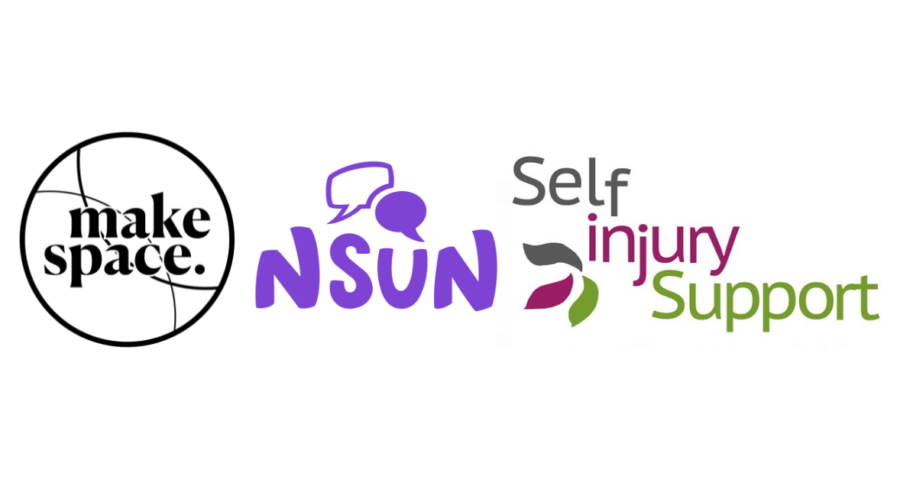 Make Space, NSUN, and Self injury Support logos