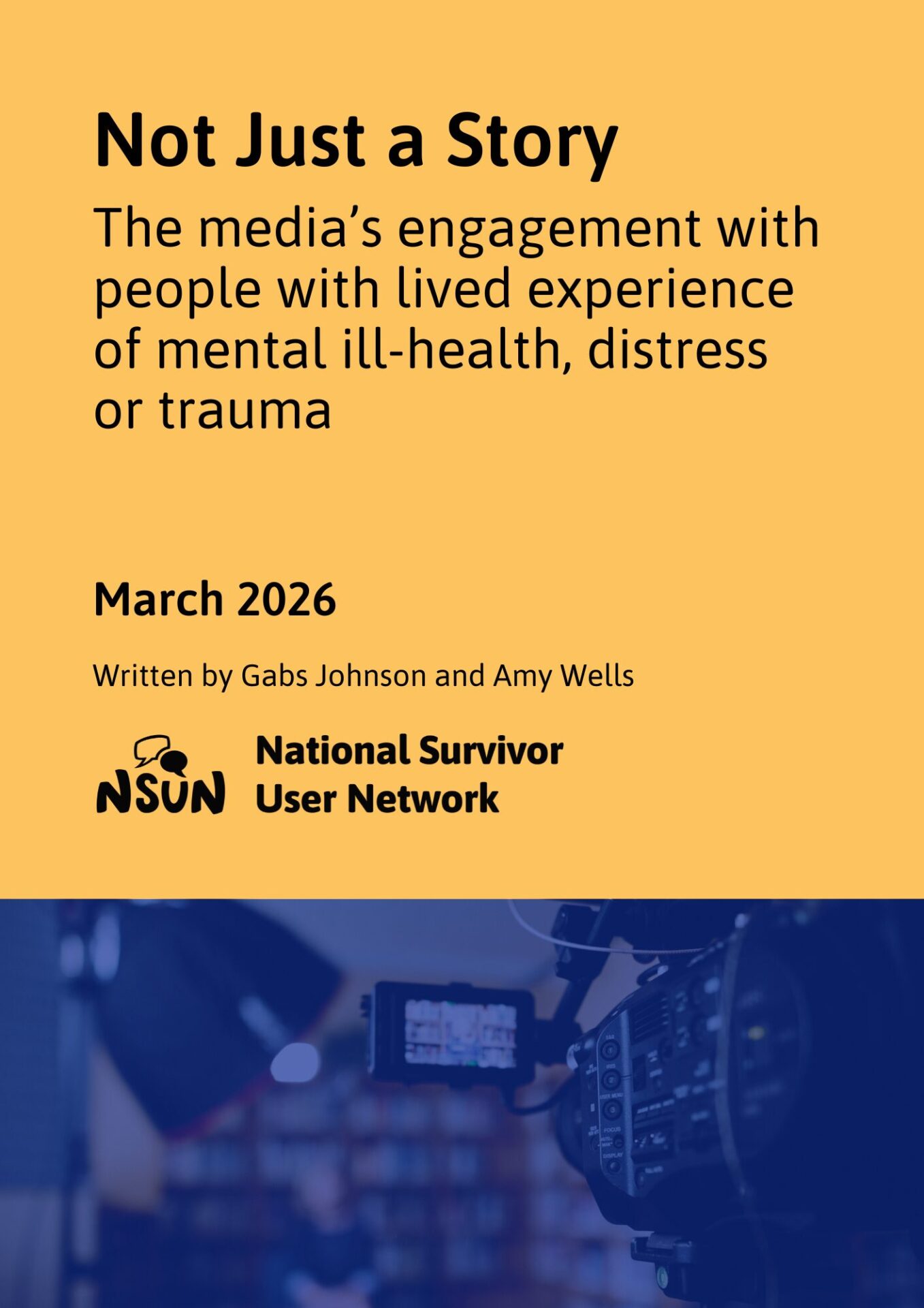 A screenshot of the cover page of the Not Just a Story report